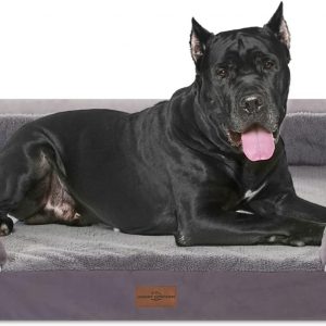 Large Dog Products