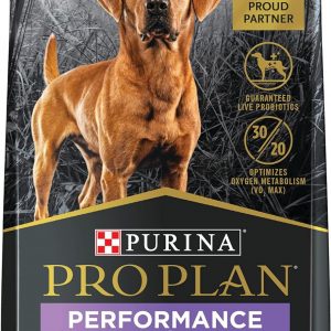 Large Dog Products