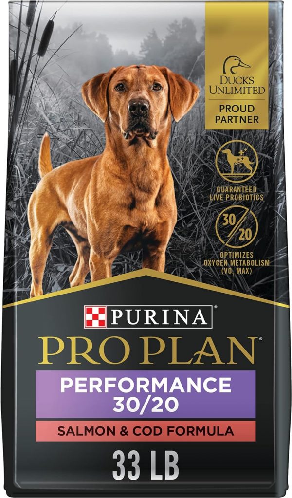 Large Dog Products