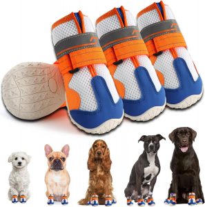 Large Dog Products