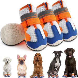 Large Dog Products