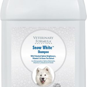 Large Dog Products