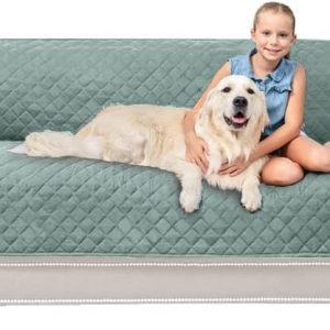 Large Dog Products