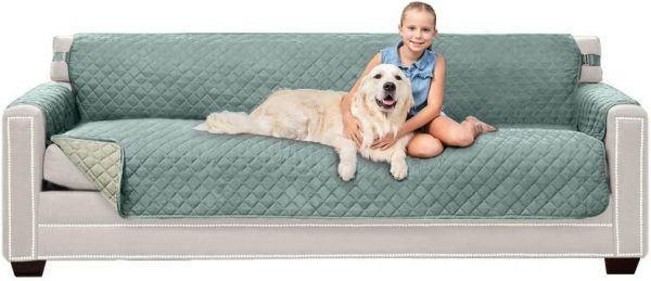 Large Dog Products