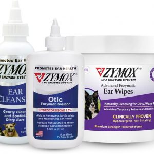 Large Dog Products