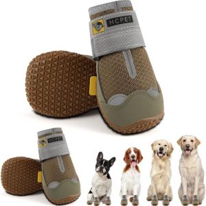 Large Dog Products