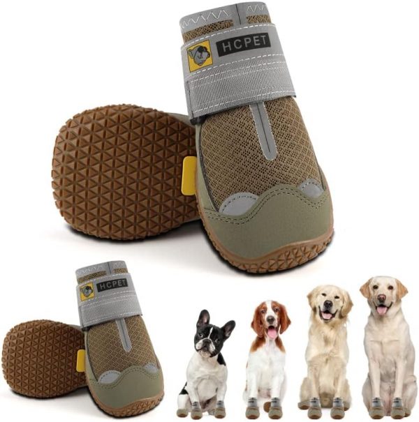 Large Dog Products