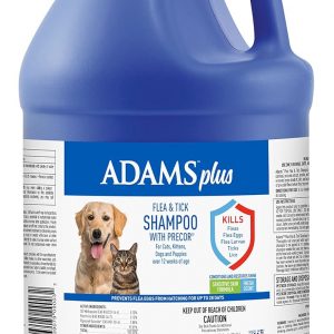 Large Dog Products