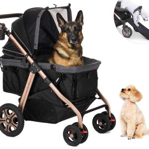 Large Dog Products