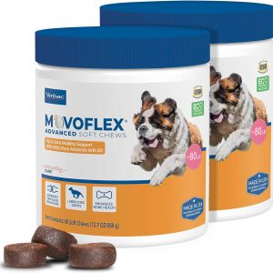 Large Dog Products