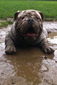 Bathing